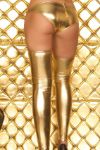 Metallic Bikini Set (Stockings Not Included